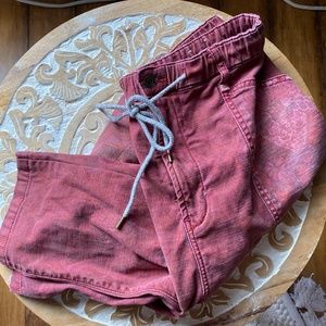 Anthropolgie pilcro trailblazer pants